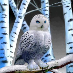 Meet your Posher, Constance